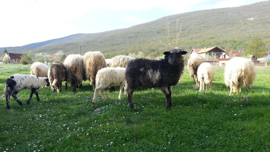 Gacka Valley Licko Lesce Exterior photo